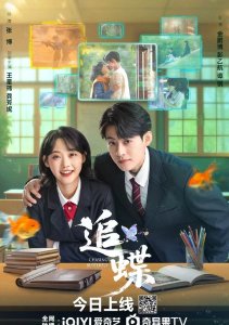 В погоне за бабочкой